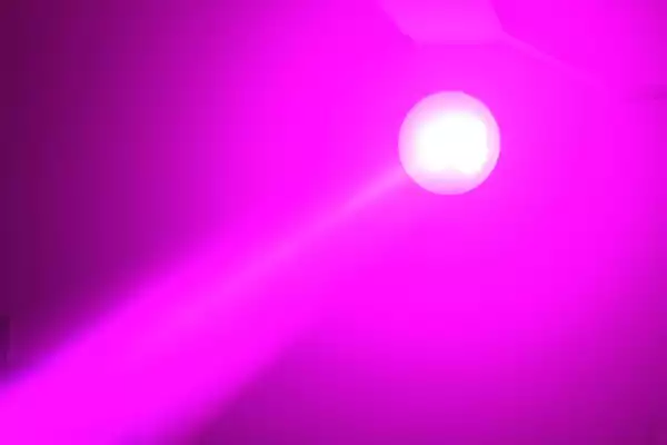 https://www.player.hr/images/products/big/13068.webp