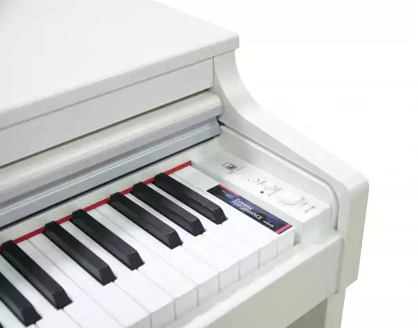 https://www.player.hr/images/products/big/2059.webp
