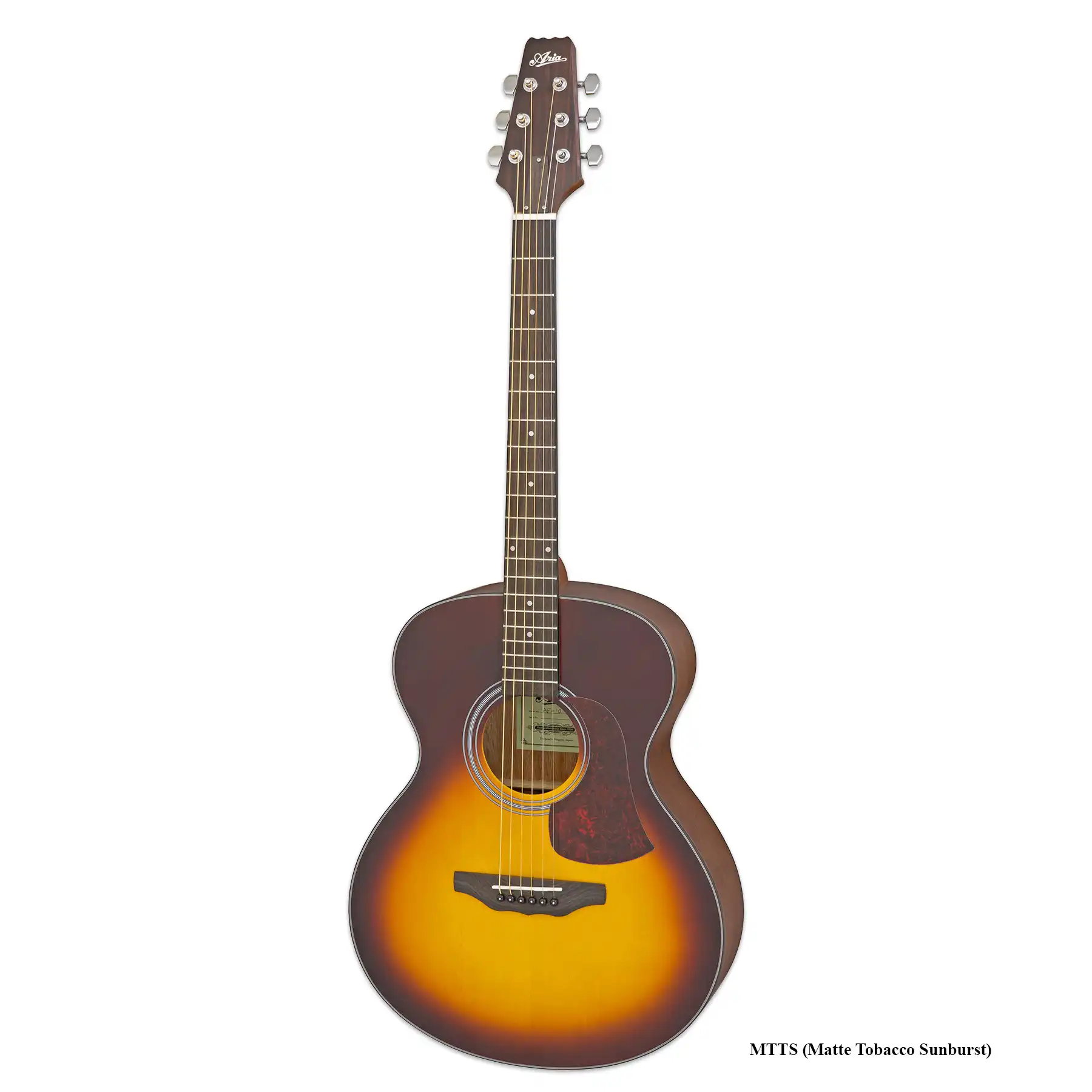 Aria AF-10 MTTS - akustična gitara