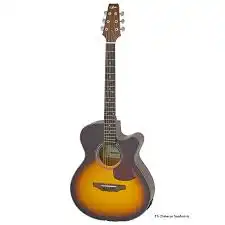 Aria AF-10CE MTTS - ozvučena akustična gitara