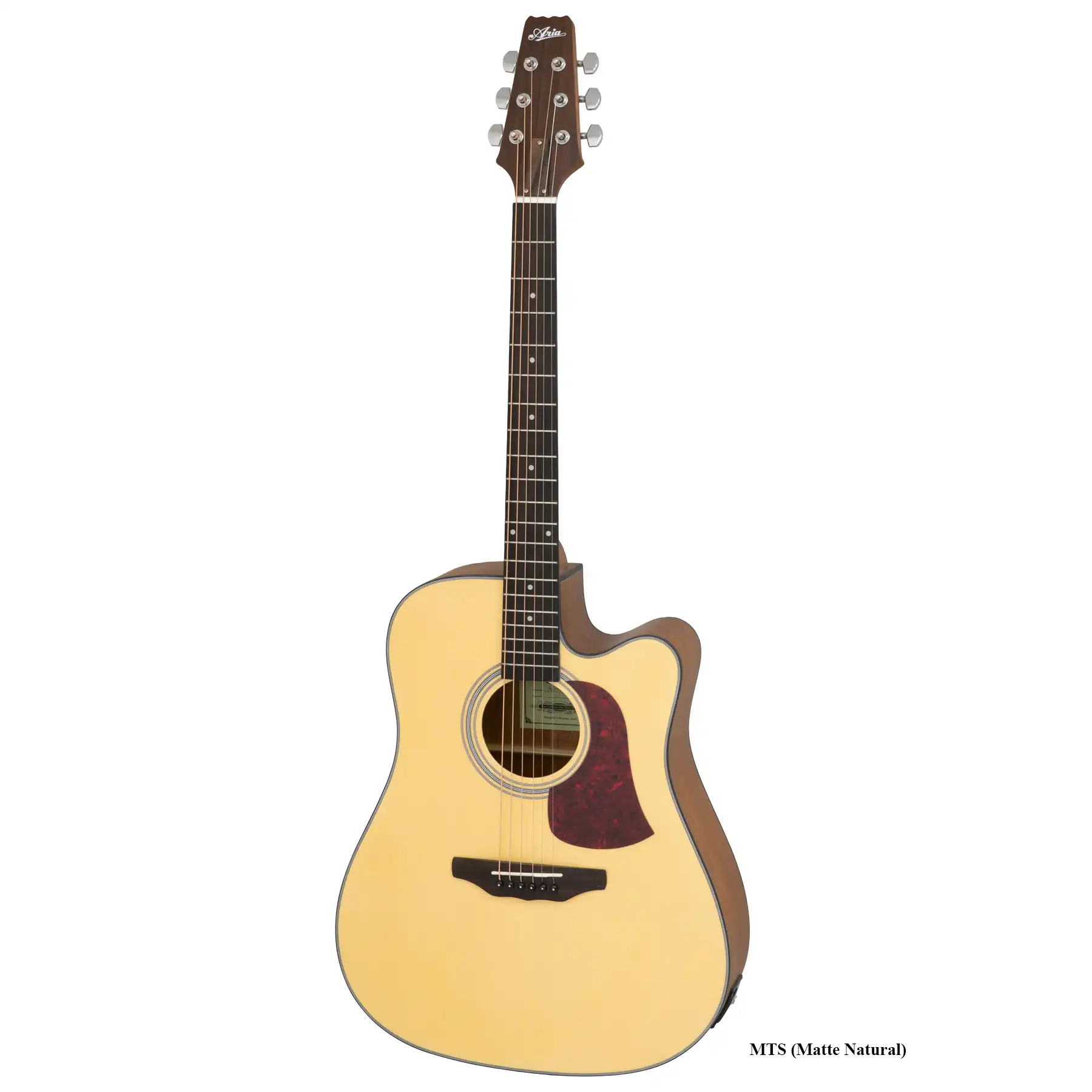 Aria AD-10CE MTN - ozvučena akustična gitara